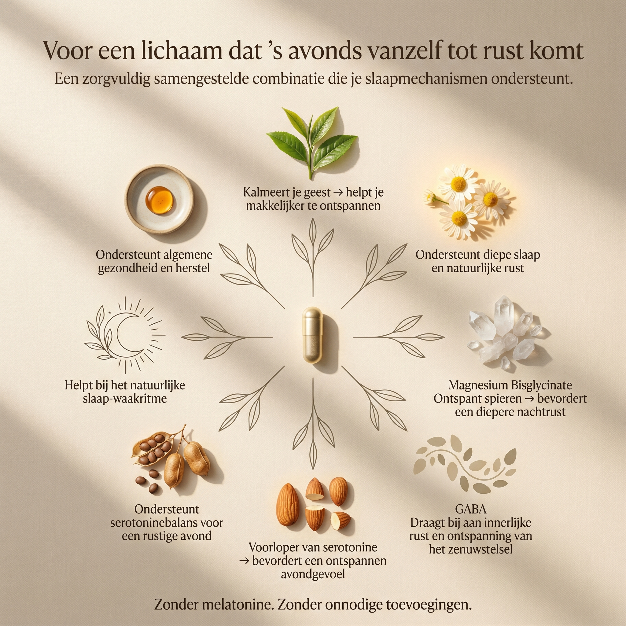 The Deep Sleep Formula™ - 60 capsules